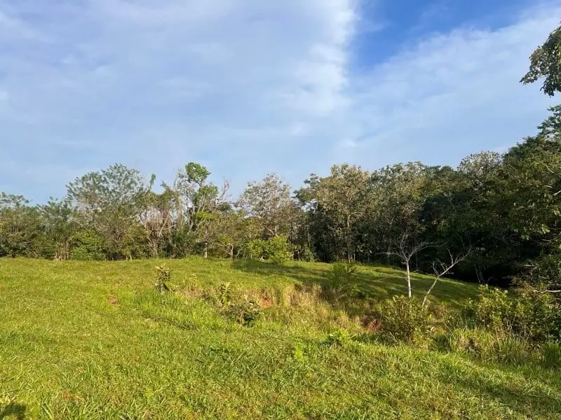 Montezuma Scenic Lots photo 16